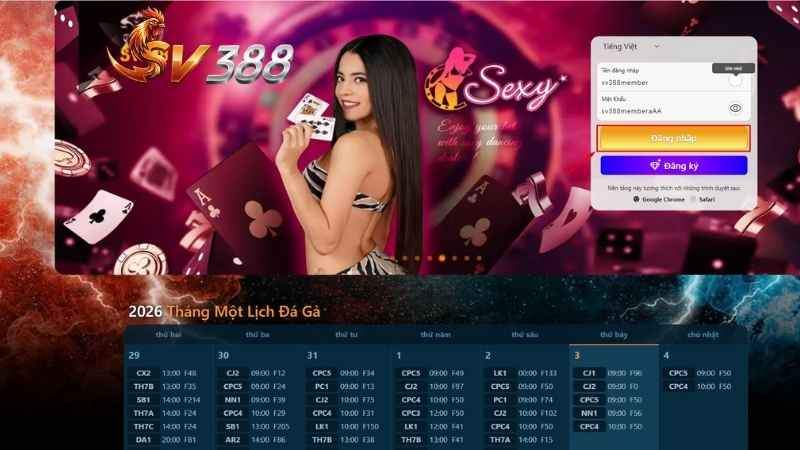 Nhập thông tin tài khoản chính xác