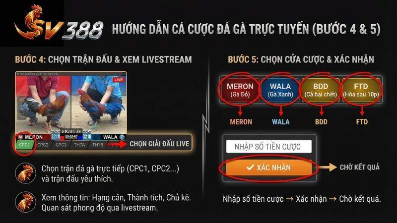 Chọn cửa cược và xác nhận