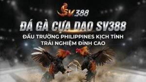 Đá Gà Cựa Dao SV388: Đấu Trường Philippines Kịch Tính, Trải Nghiệm Đỉnh Cao