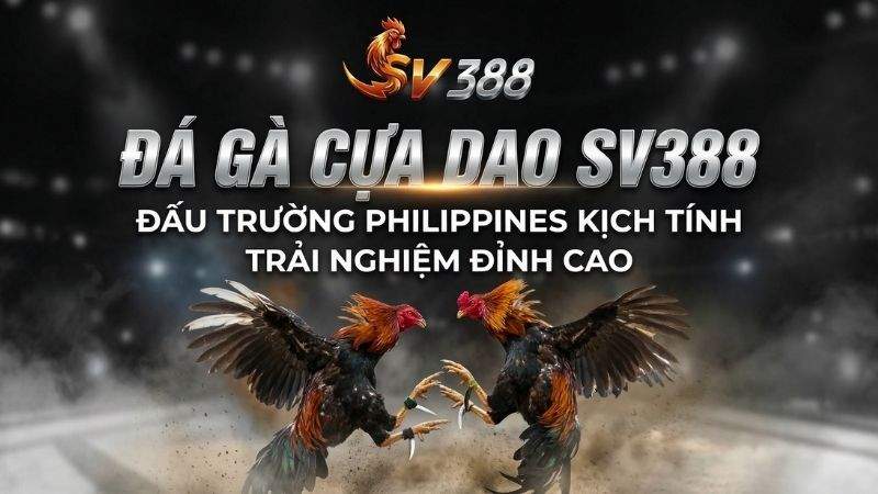 Đá Gà Cựa Dao SV388: Đấu Trường Philippines Kịch Tính, Trải Nghiệm Đỉnh Cao