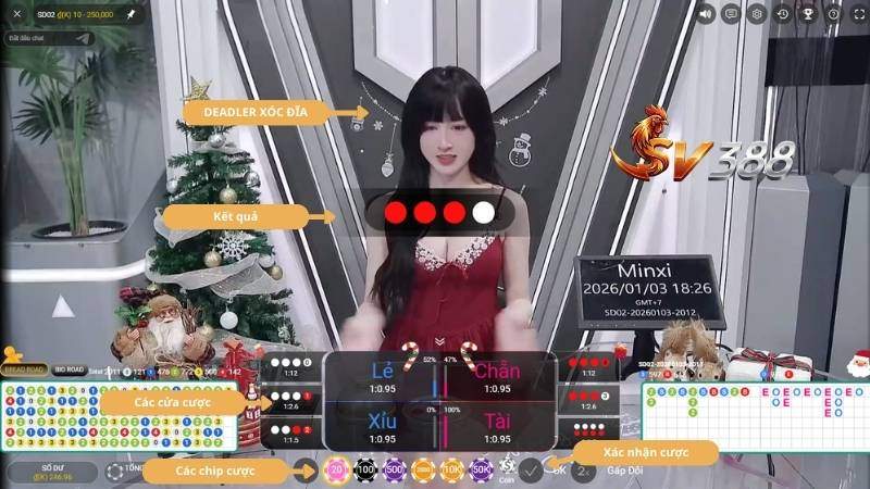 Quy trình đặt cược